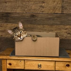 Meet your Posher, Kristi